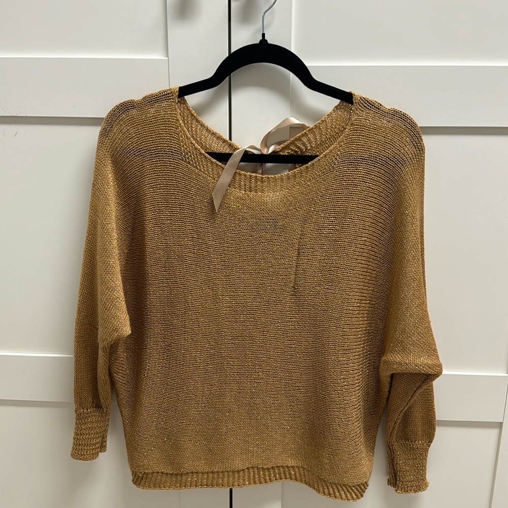 Gold/Brown top NEVER WORN